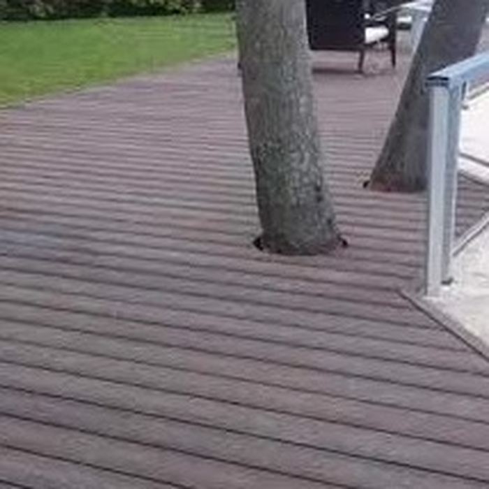 Nogal Tabaco