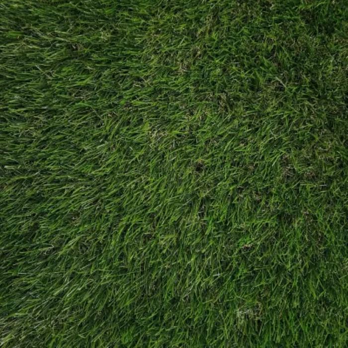Otoño Largo